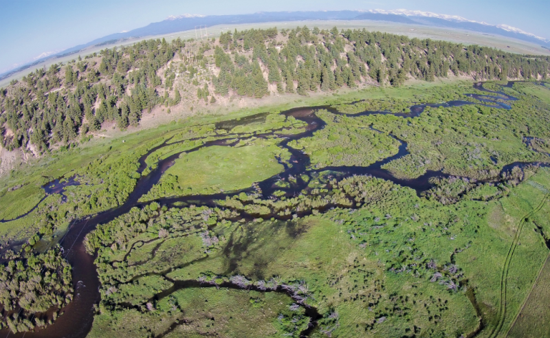 Healthy wetland systems like this one in the headwaters of Colorado’s South Platte catchment naturally provide essential services to society while maintaining the integrity, stability, and beauty of the biotic community. Photo courtesy of Mark Beardsley.