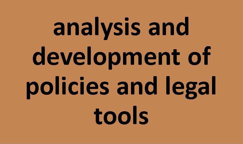 analysis and development of policies and legal tools