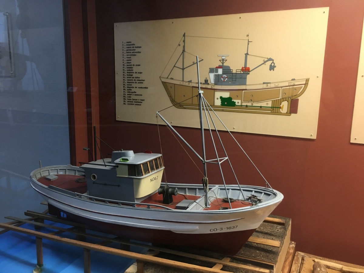Model purse-seine vessels at the Galician National Museum in Santiago de Compostela