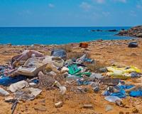Beach Waste