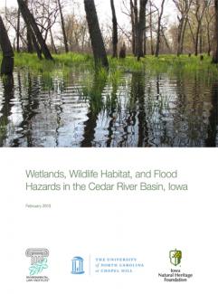 Wetlands, Wildlife Habitat, and Flood Hazards in the Cedar River Basin, Iowa