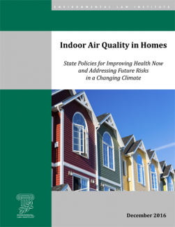 Indoor Air Quality in Homes: State Policies for Improving Health Now and Address