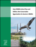 State Wildlife Action Plans and Utilities: New Conservation Opportunities for Am