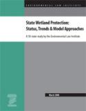 State Wetland Protection: Status, Trends & Model Approaches