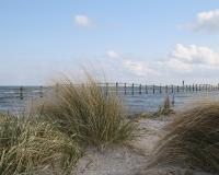 Environmental Justice on the Gulf Coast
