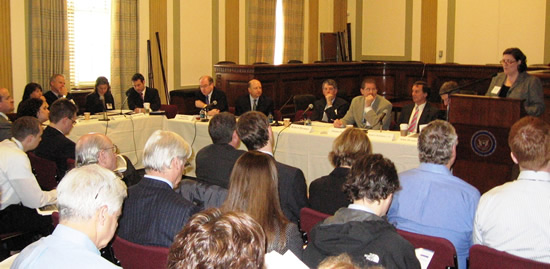 Anna Wood at the 2008-2009 ELPAR Conference