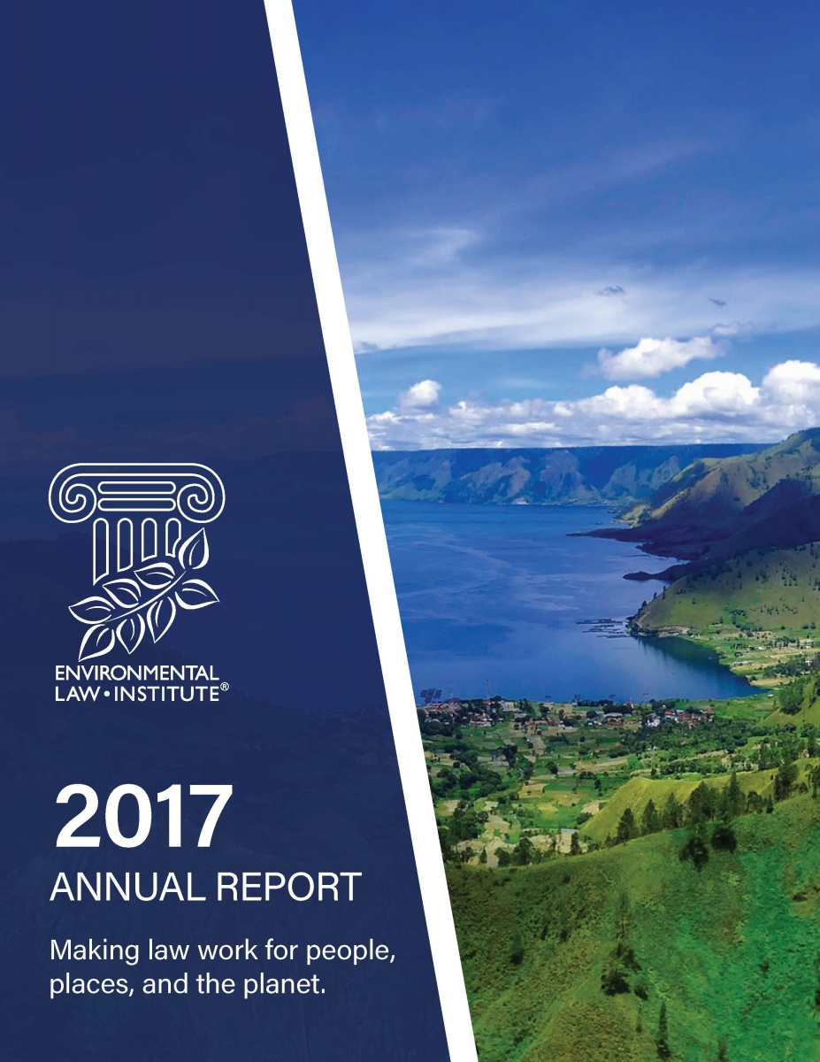 2017 ELI Annual Report