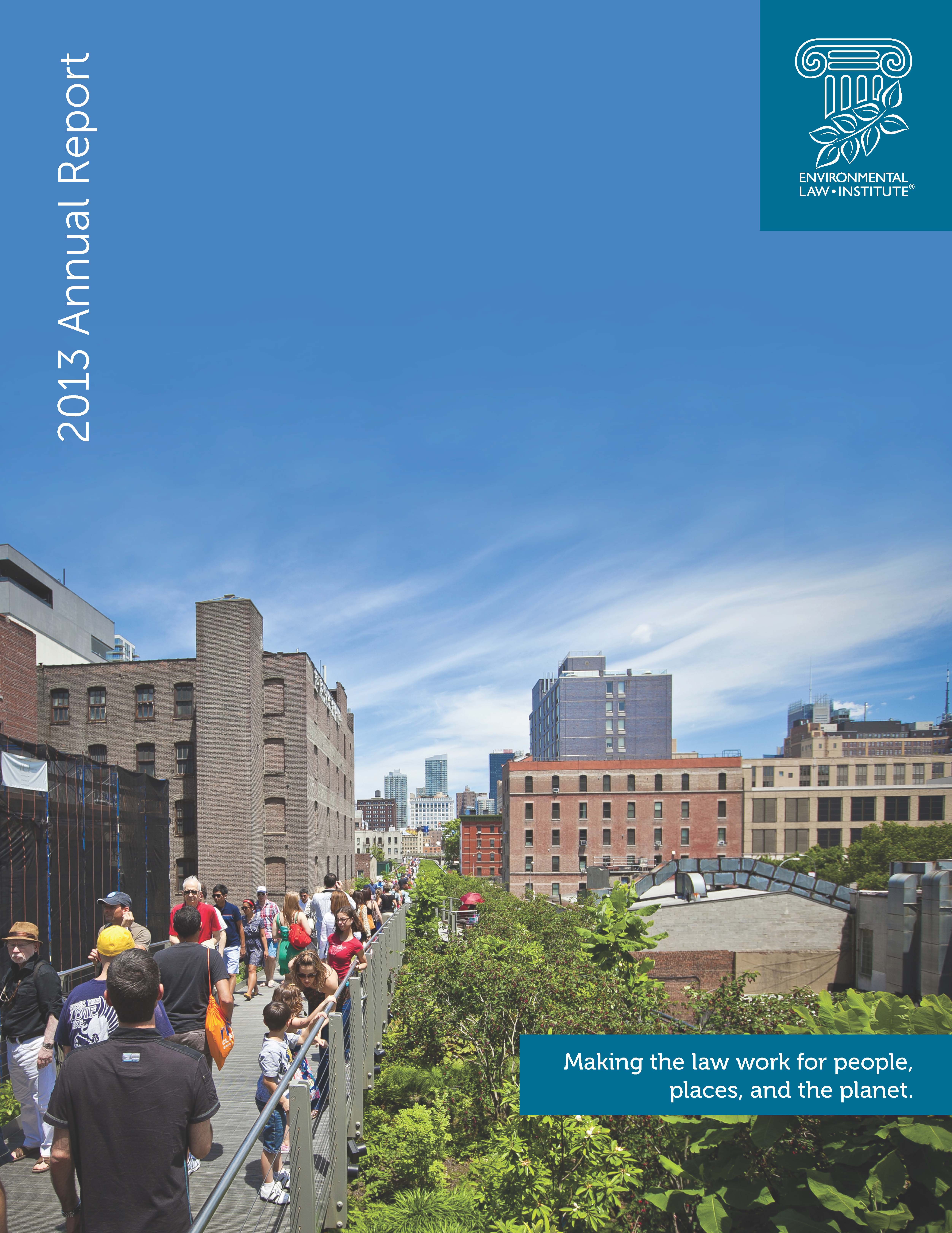 2013 ELI Annual Report