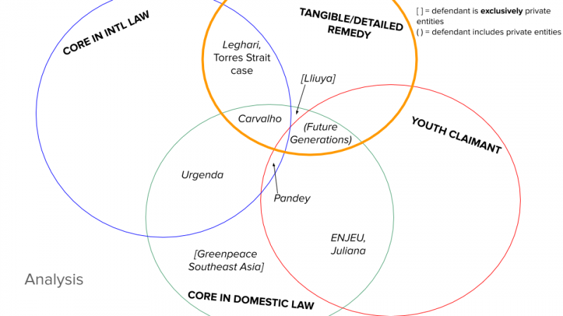 A visual analysis of the cases and their similar/contrasting motifs. 