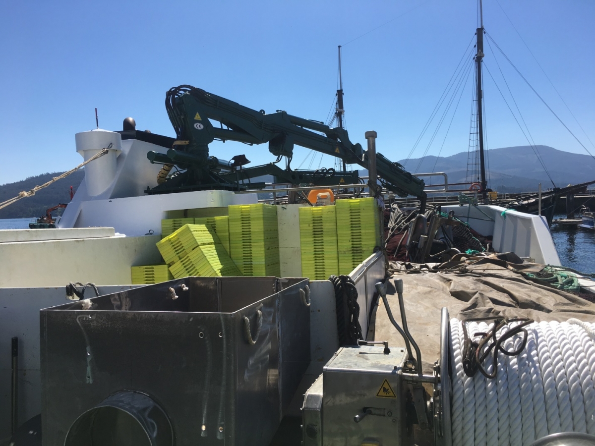 Figure 2 Fishing gear and boxes onboard an ACERGA purse-seiner docked at the Port of O Freixo (A Coruña).