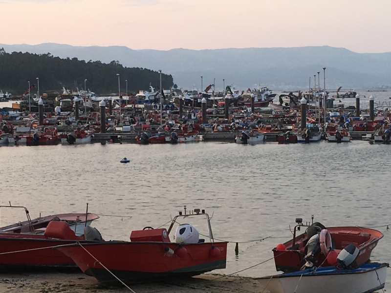 The EU held is First Conference on Fishing Quotas and the Purse-seine sector.