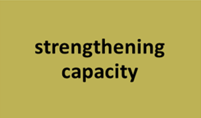 strengthening legal capacity