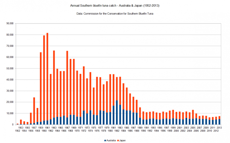 This graph demonstrates the trend of southern bluefin tuna caught by Australia and Japan from 1952 to 2013. It clearly shows that, from 1959 to 1988, southern bluefin tuna has been im-moderately caught by the two countries (Image: Danimations). 