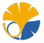 University of Tokyo