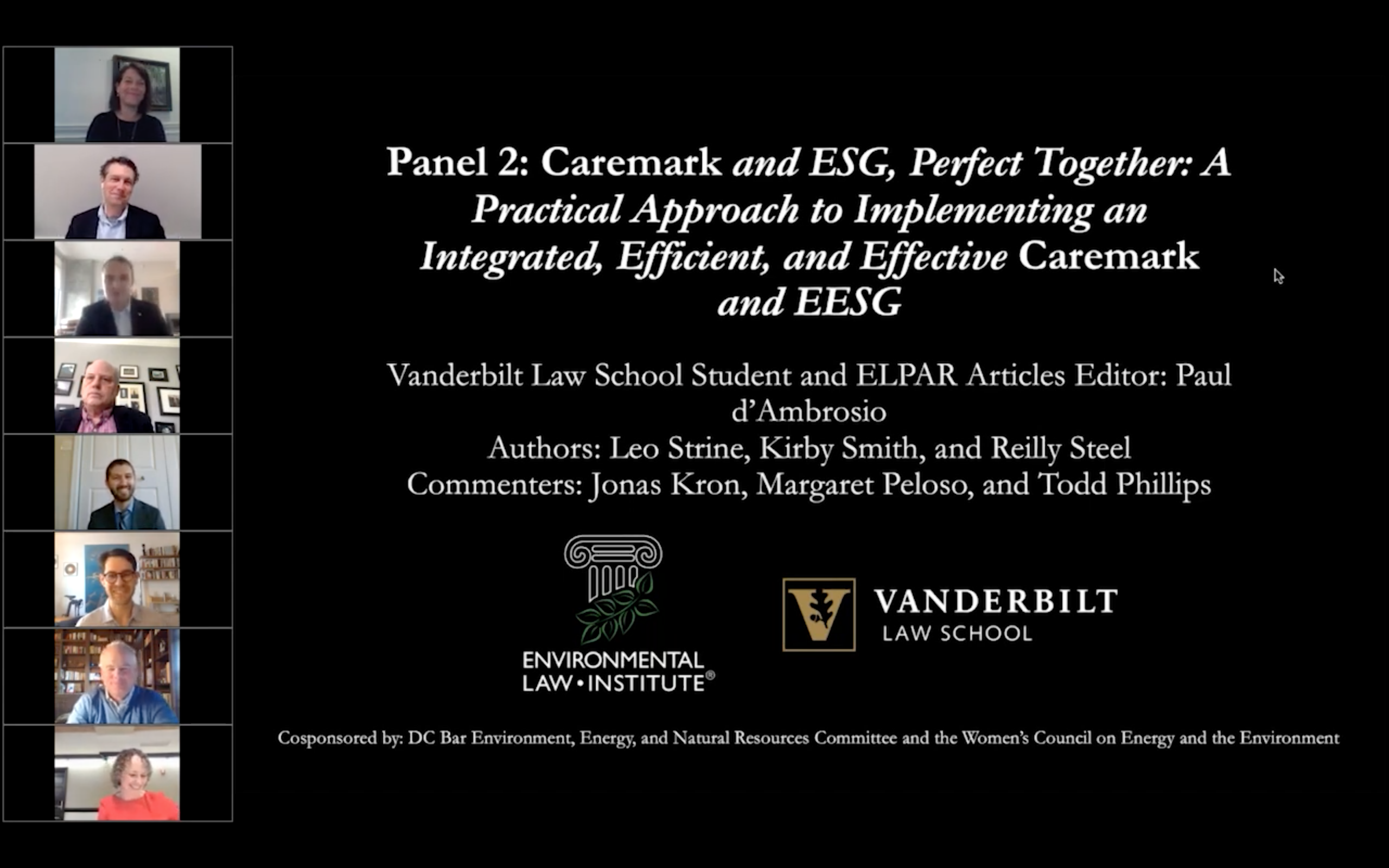 Screenshot of panel two title page and panelists