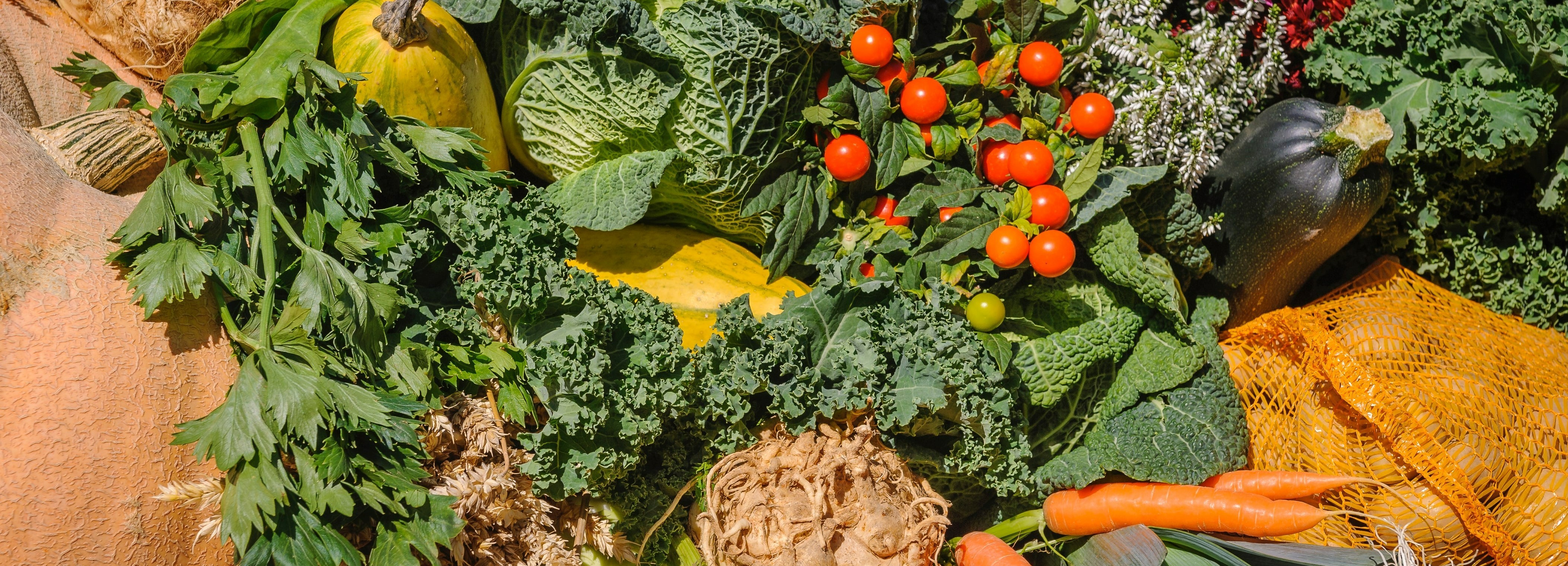 Vegetable Harvest