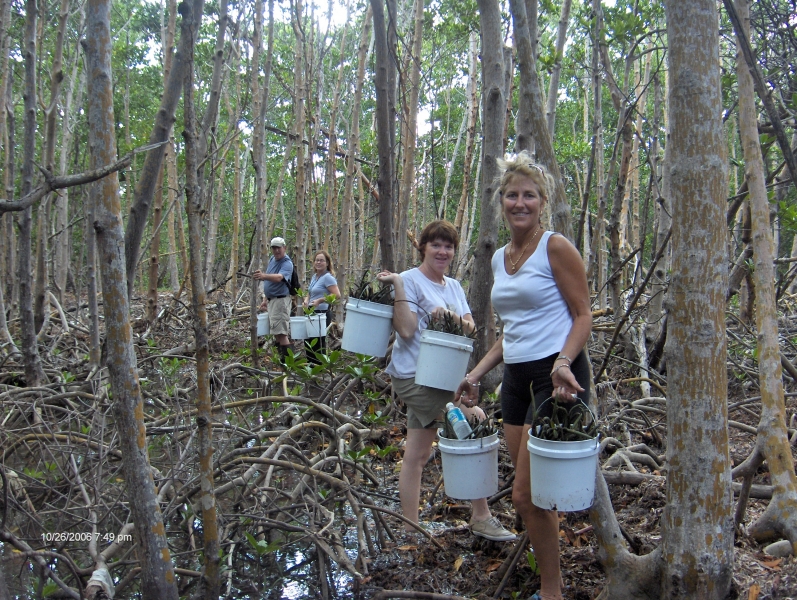 Volunteers for the Reclamation Project at mangrove site