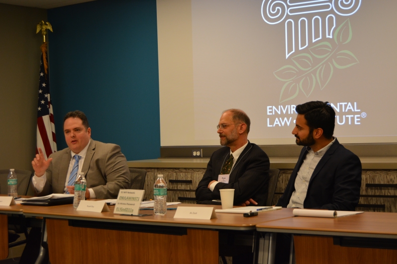 Rosario Palmieri gives his reactions to Professor Pasachoff's article