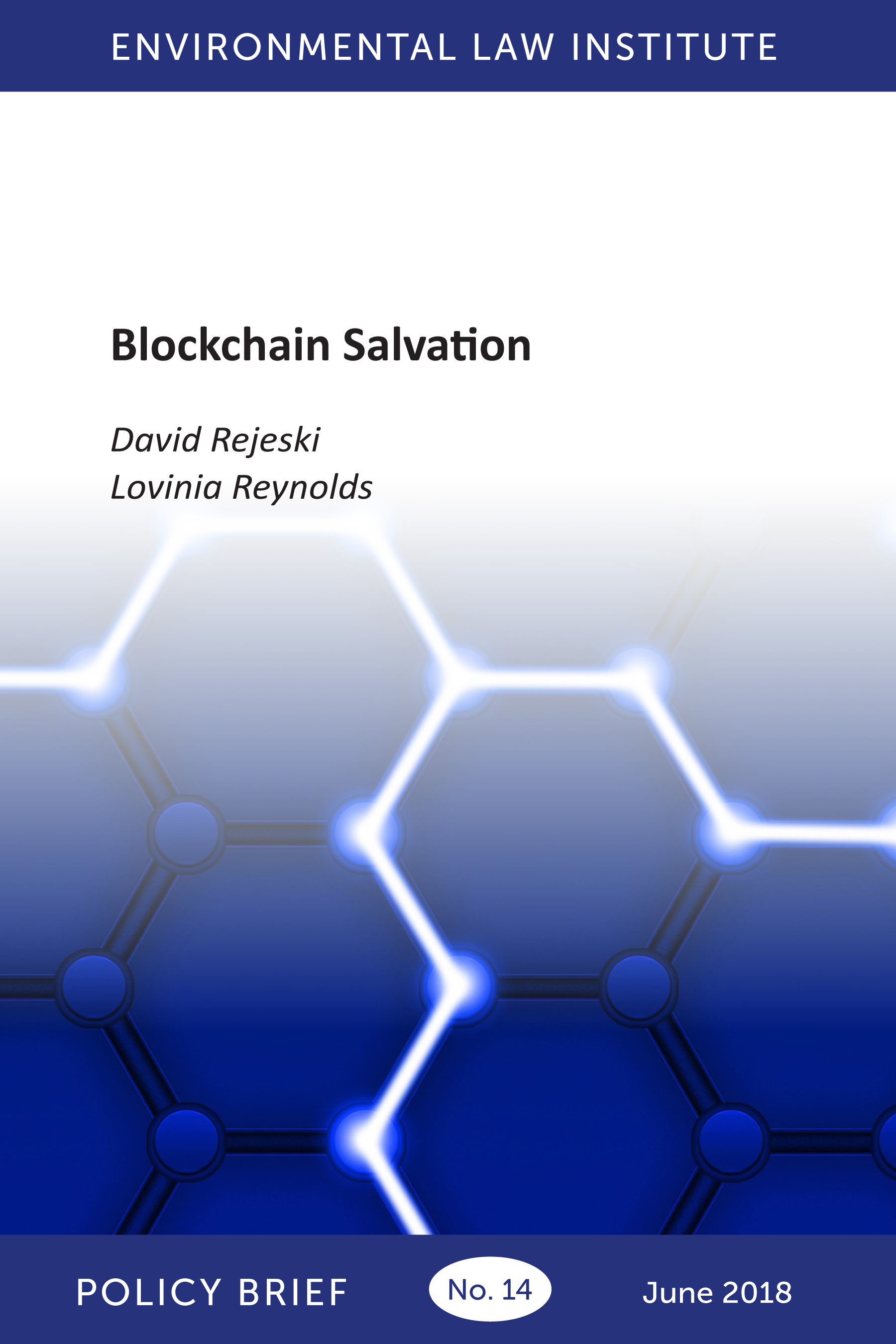 Blockchain Salvation