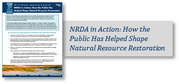 NRDA-in-Action