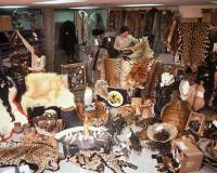 Confiscated Wildlife Products at JFK Airport, Steve Hillebrand