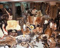 Confiscated Wildlife Products at JFK Airport, Steve Hillebrand