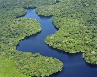 The Brazilian Amazon (Wikimedia Commons)