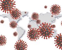 coronavirus