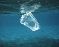 Plastic bag or jellyfish? Research suggests there will be more plastic than fish