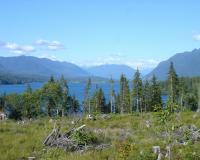 Lake Quinault, Quinault Indian Nation