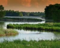 Wisconsin wetlands