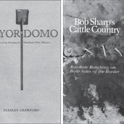 Covers of reviewed books