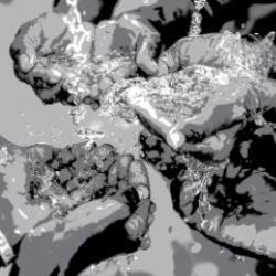 Right to Water Dilemma - Environmental Forum January-February 2024