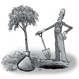 Can Biden Get the Job Done?