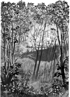 An Essential Strategy