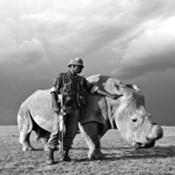 Political Economy Analysis