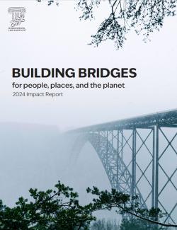 Building Bridges ELI 2024 Report Cover (bridge surrounded by fog)