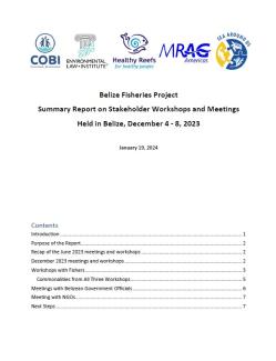 BFP December Summary Report Cover.jpg