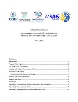 Title page for Belize Fisheries Project Report.  Includes logos for each of the partner organizations, the title, and a table of contents.