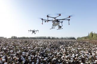 Drone flying over crop