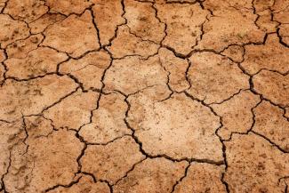 Drought affected ground