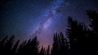Milky way over forest