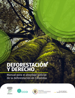 This is the cover of a report titled "DEFORESTACIÓN Y DERECHO"