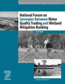 National Forum on Synergies Between Water Quality Trading and Wetland Mitigation