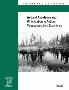Wetland Avoidance and Minimization in Action: Perspectives from Experience