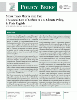More than Meets the Eye: The Social Cost of Carbon in U.S. Climate Policy, in Pl
