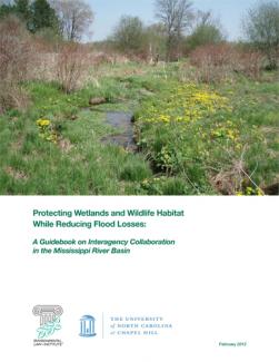 Protecting Wetlands and Wildlife Habitat While Reducing Flood Losses: A Guideboo