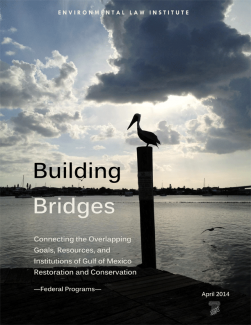 Building Bridges: Connecting the Overlapping Goals, Resources, and Institutions 
