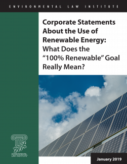 Corporate Statements about the Use of Renewable Energy: What Does the “100% Rene