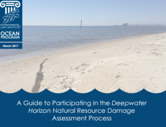 A Guide to Participating in the Deepwater Horizon Natural Resource Damage Assess